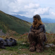 Illustration for article titled Chewbaccas Secret Life in Japan